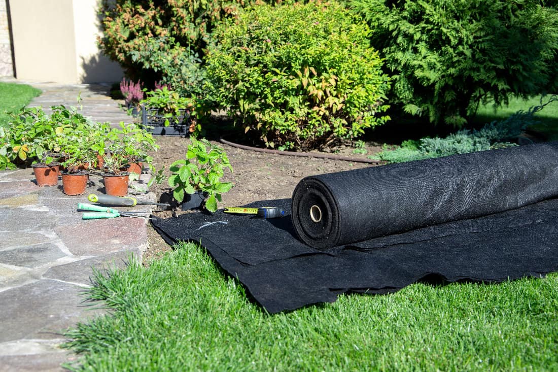 Installing landscaping fabric in the garden