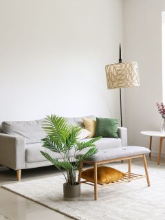 Interior of light living room with comfortable sofa, houseplants and mirror near light wall. - Where To Place A Floor Mirror In Living Room?