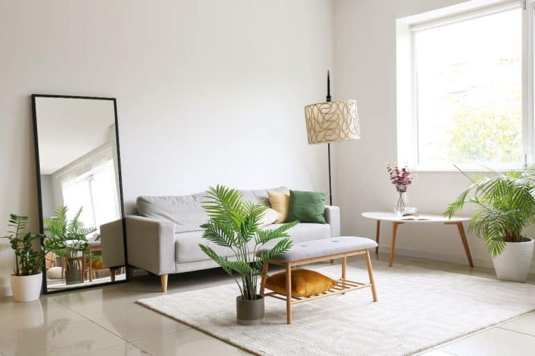 Interior of light living room with comfortable sofa, houseplants and mirror near light wall. - Where To Place A Floor Mirror In Living Room?