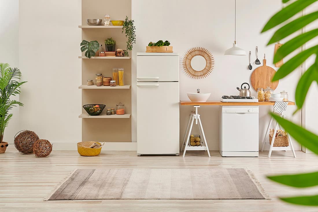 Kitchen interior with decorative new refrigerator and dishwasher