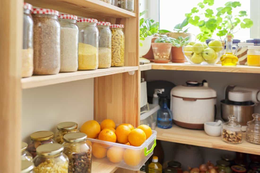 Kitchen pantry, wooden shelves with jars and containers with food, food storage. Jars of cereals, container of oranges, kitchen utensils, houseplants
