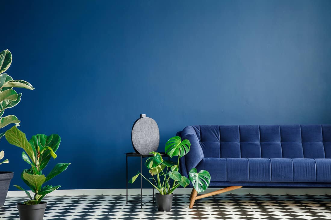 Minimal style interior with big dark blue couch standing on a checkerboard floor
