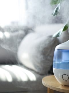 Modern air humidifier and houseplant on table in living room - Can A Vicks Vaporizer Catch Fire? [Safety Tips For Use]