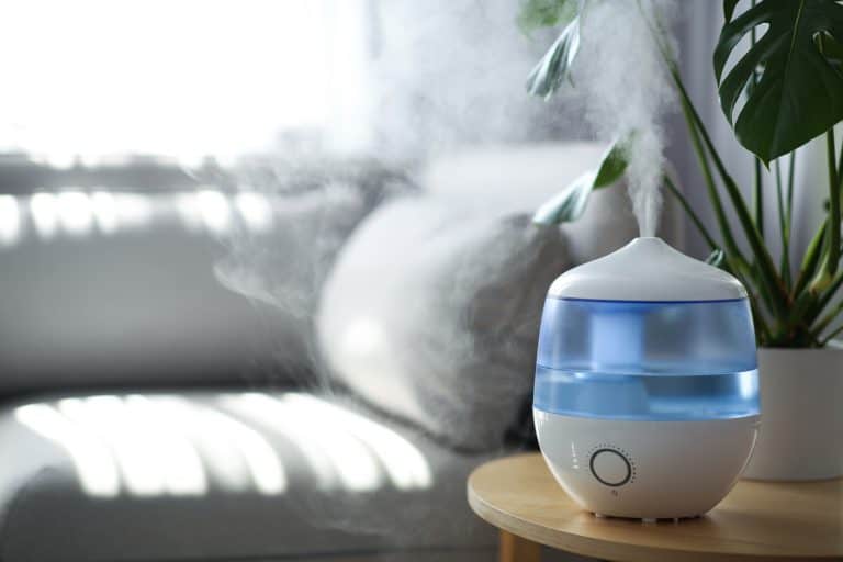 Modern air humidifier and houseplant on table in living room - Can A Vicks Vaporizer Catch Fire? [Safety Tips For Use]
