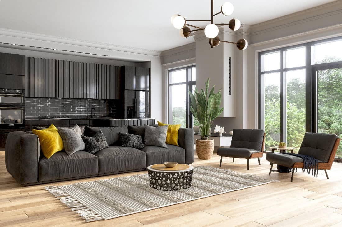 Modern living room wiith gray color sofa