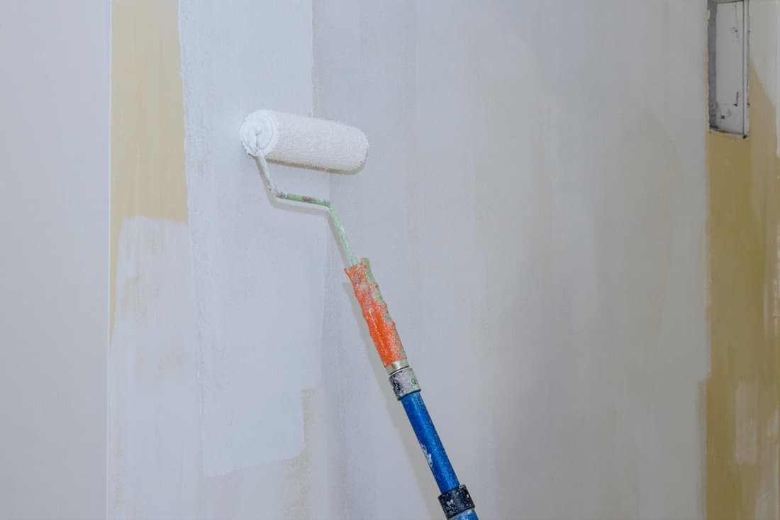 Painting of walls in a primer on white color repair in a house for painting walls 