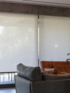Roller blinds in the interior. Automatic solar shades large size on the window. Living room interior with sofas and palm trees. Electric sunscreen curtains for home., Can You Paint Solar Shades? [Yes! Here's Which Paint Is Best!]