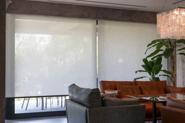 Roller blinds in the interior. Automatic solar shades large size on the window. Living room interior with sofas and palm trees. Electric sunscreen curtains for home., Can You Paint Solar Shades? [Yes! Here's Which Paint Is Best!]