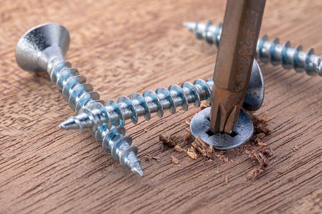 Screwdriver screw in a wood oaks plank