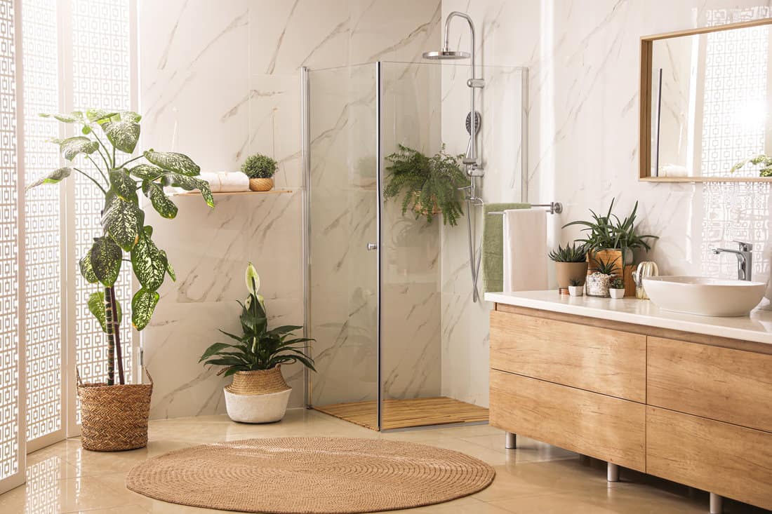 Stylish bathroom interior with countertop, shower stall and houseplants. Design idea 