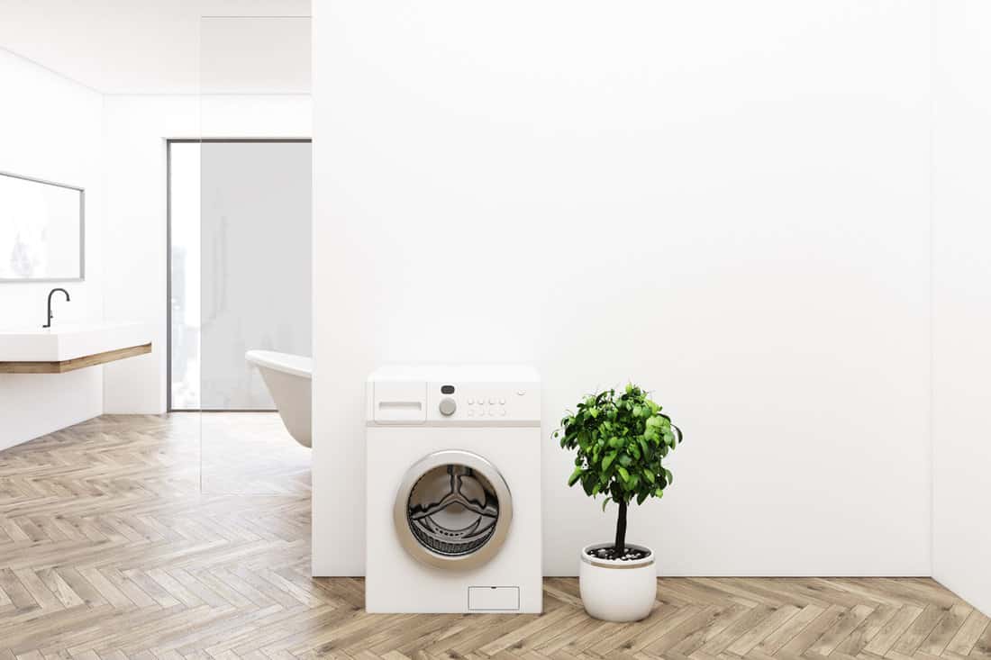 White bathroom interior with a washing machine, wooden floor, a tree in a pot, a sink and a tub.