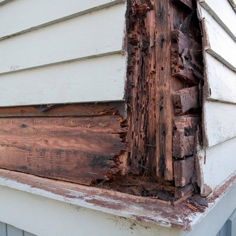Wood rot caused by water causing siding damage