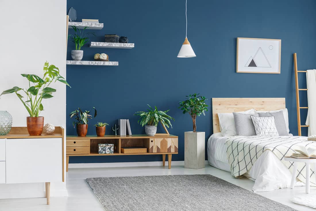 Wooden cabinet with plants and a king size bed in a blue bedroom interior