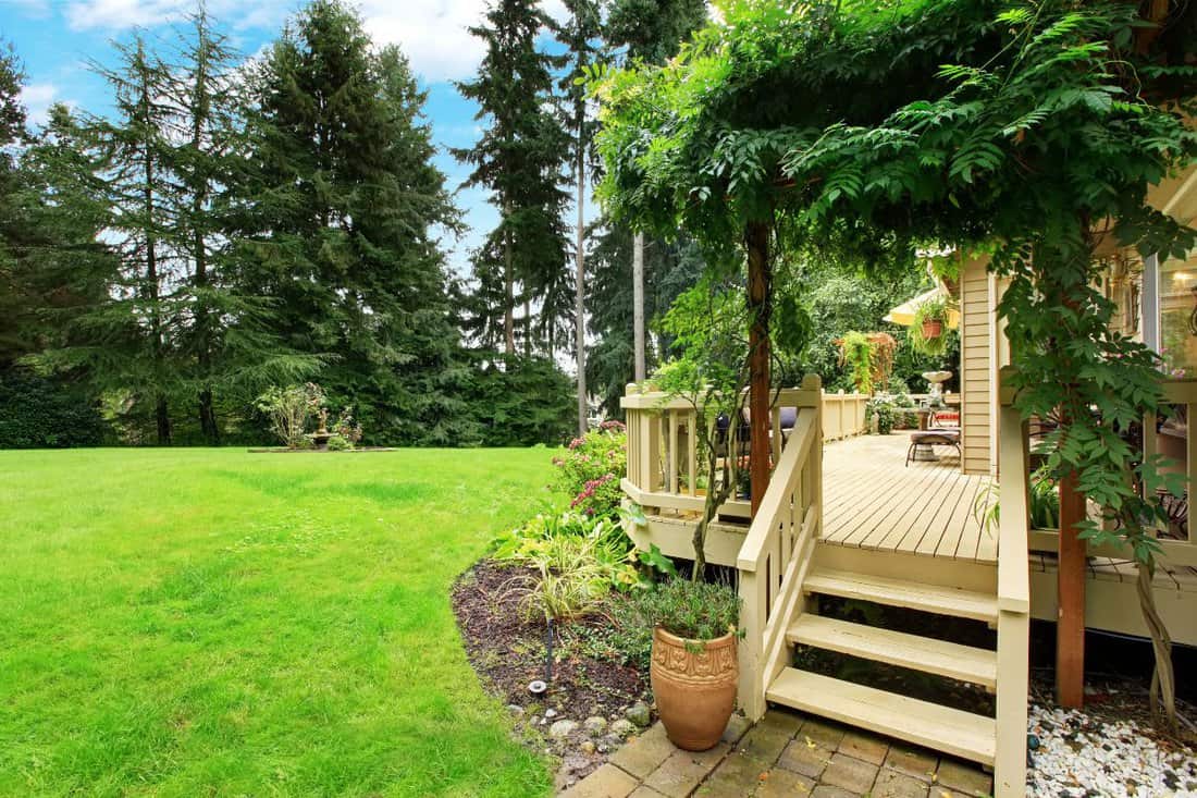 Wooden walkout deck with stairs overlooking backyard landscape.