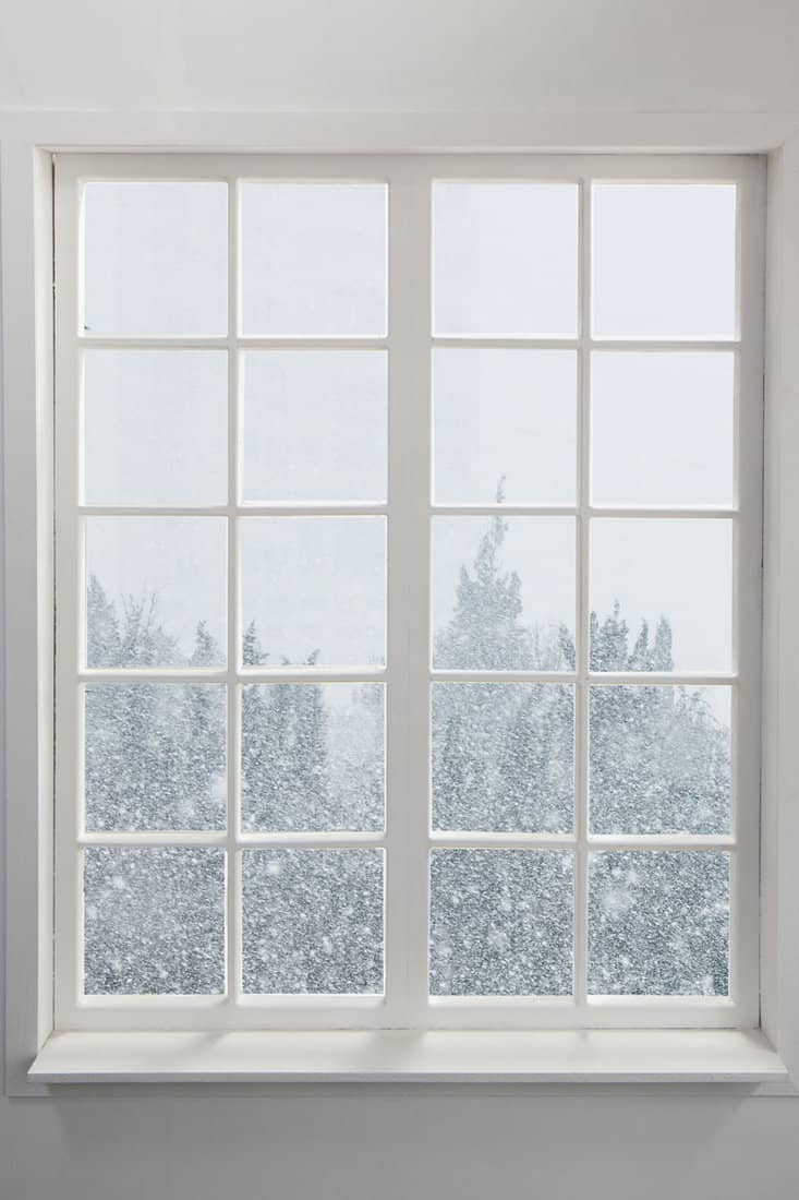 modern residential window snow trees
