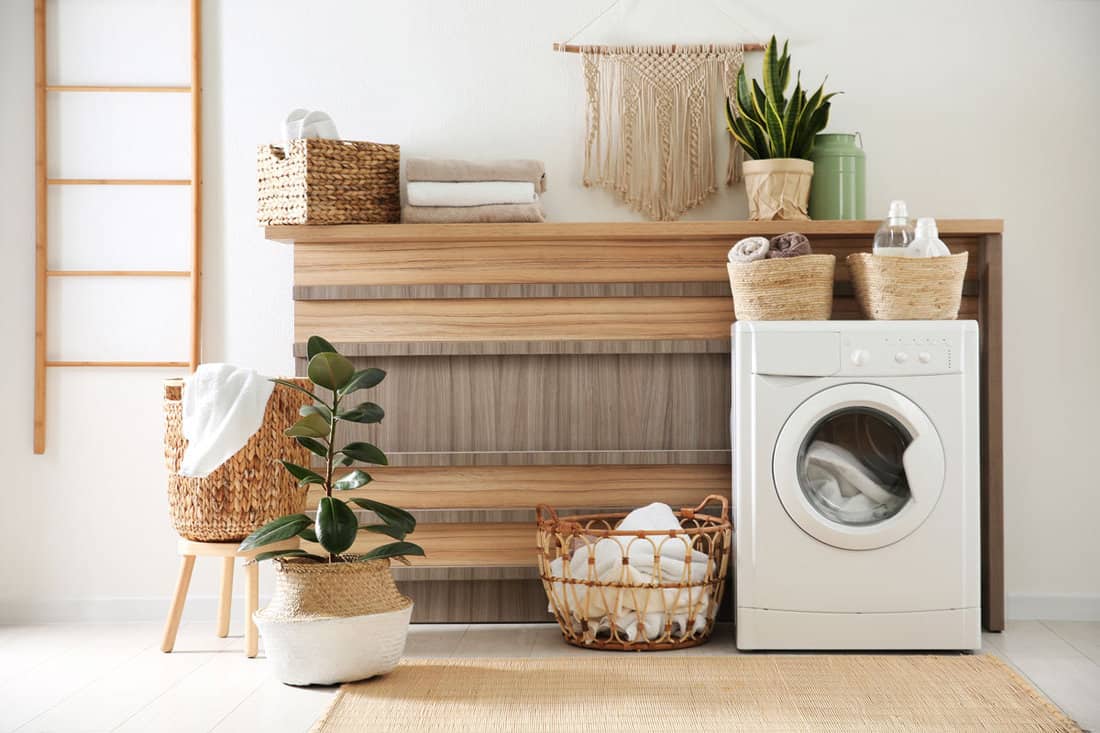 modern-washing-machine-plants-laundry-room