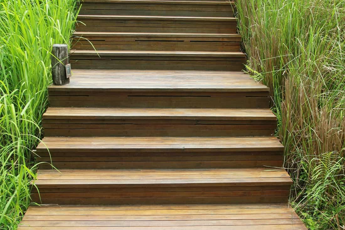 wood stair way on green garden 