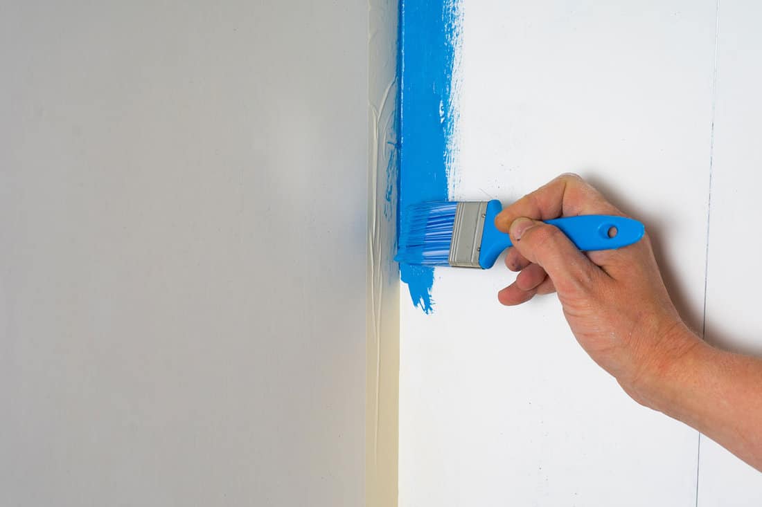 A professional painter uses a brush to apply paint to the wall. Painting the walls in blue