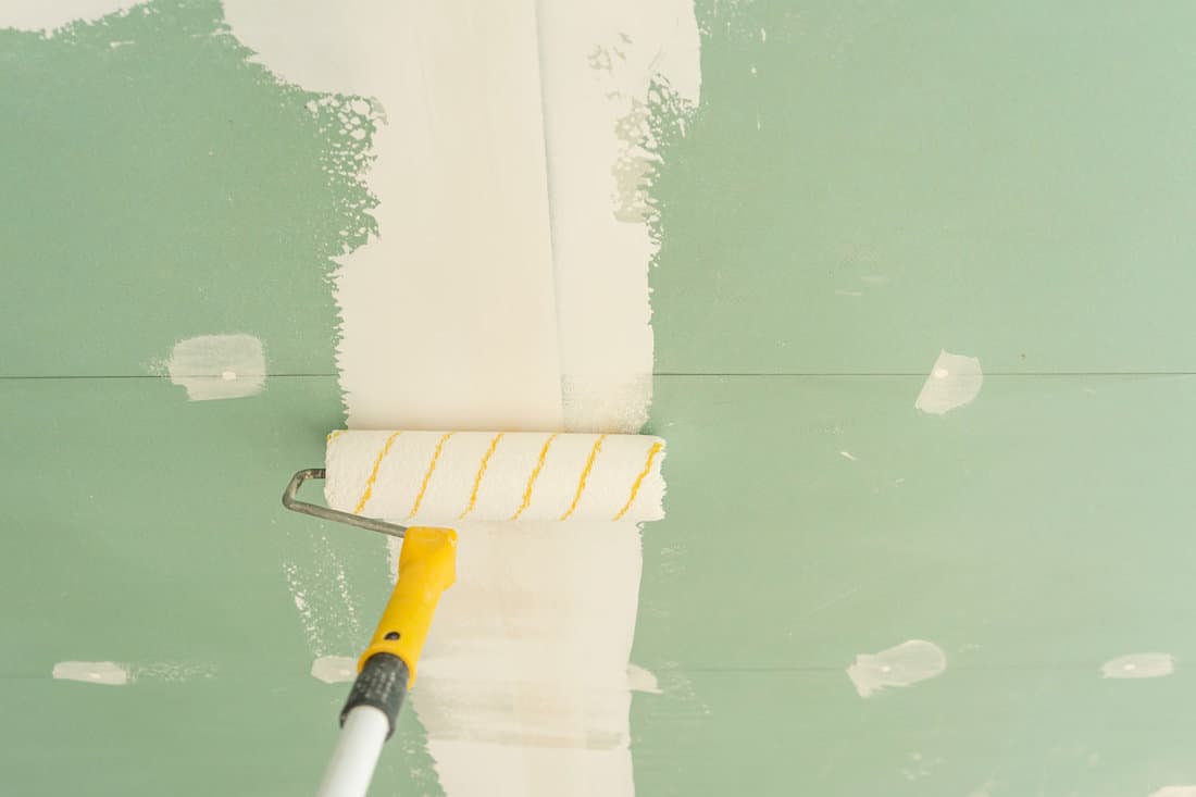 Antifungal primer for plasterboard ceiling. Parts with paint roller 