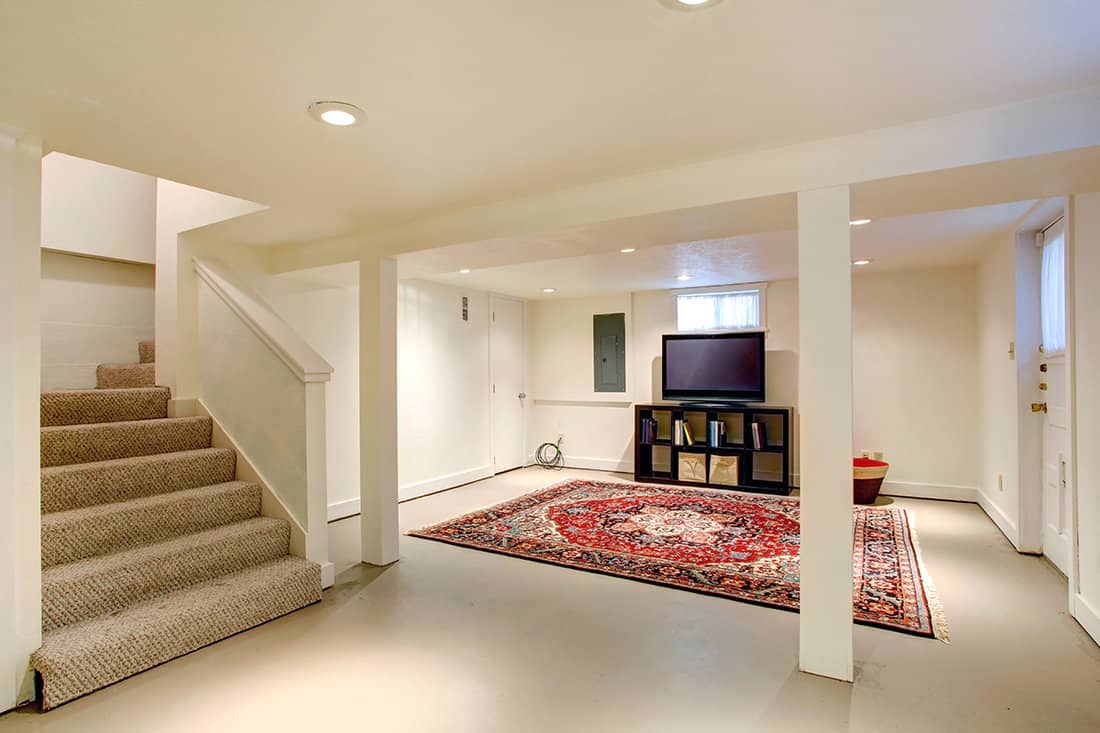 Entertainment room with tv in the basement