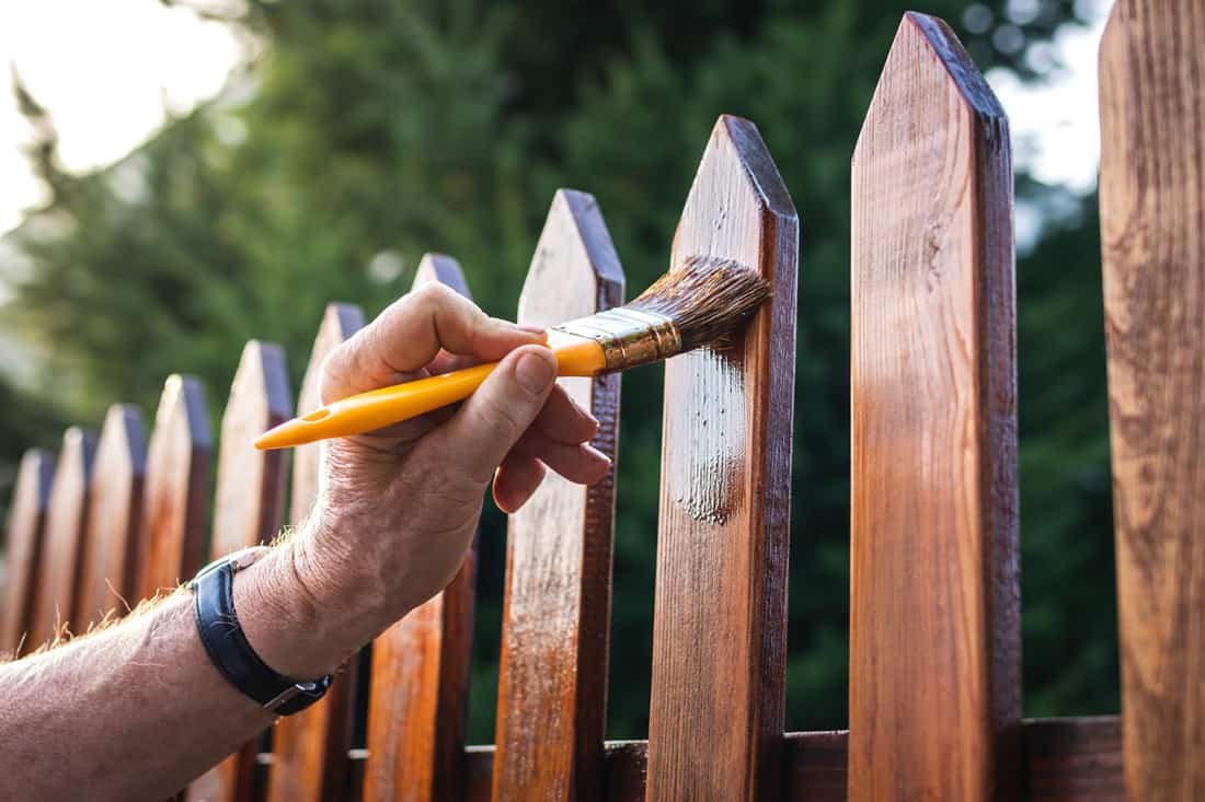 Man painting wood stain at timber plank in garden. Paint protective varnish on wooden picket f