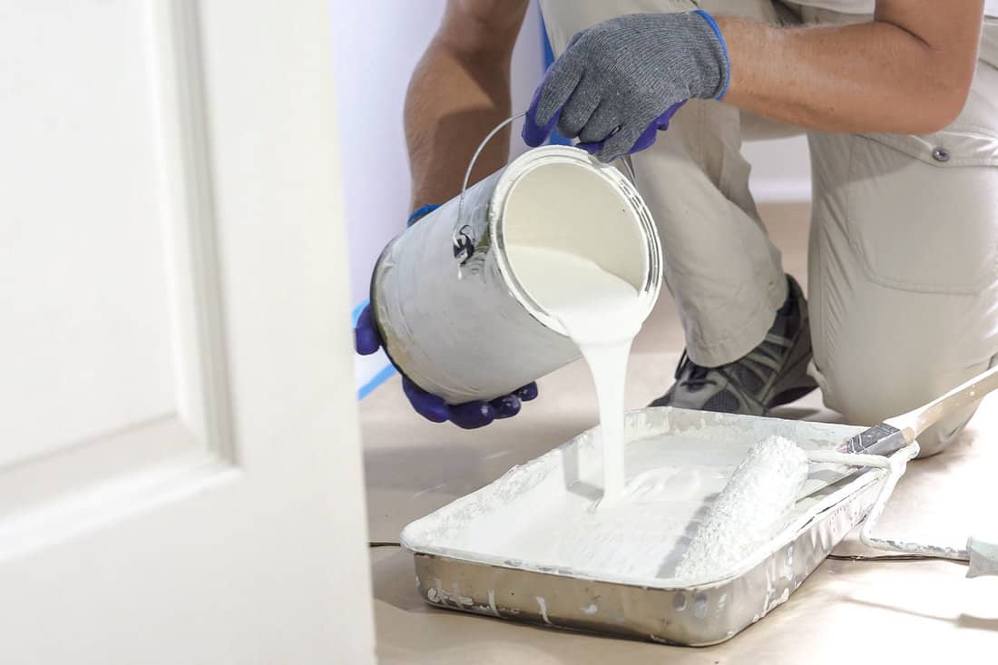 Man pours paint into the tray and dips roller. Professional interior construction worker pouring white color paint to tray. 