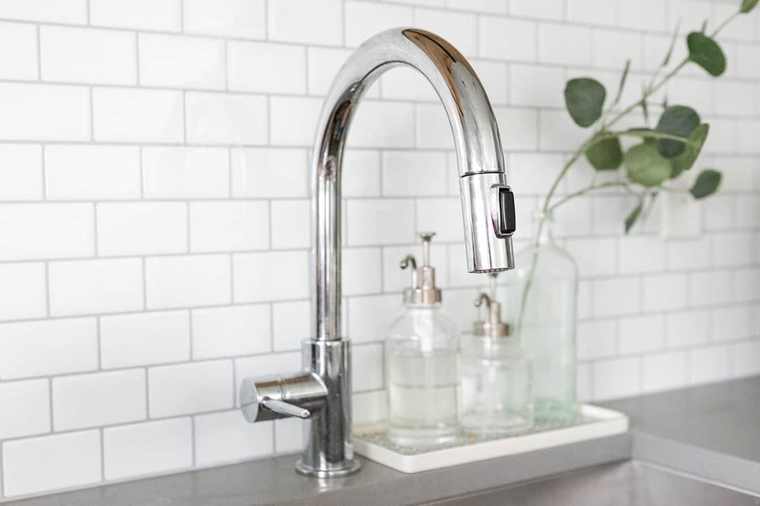 Modern stainless steel sink with soap dispensers and plant
