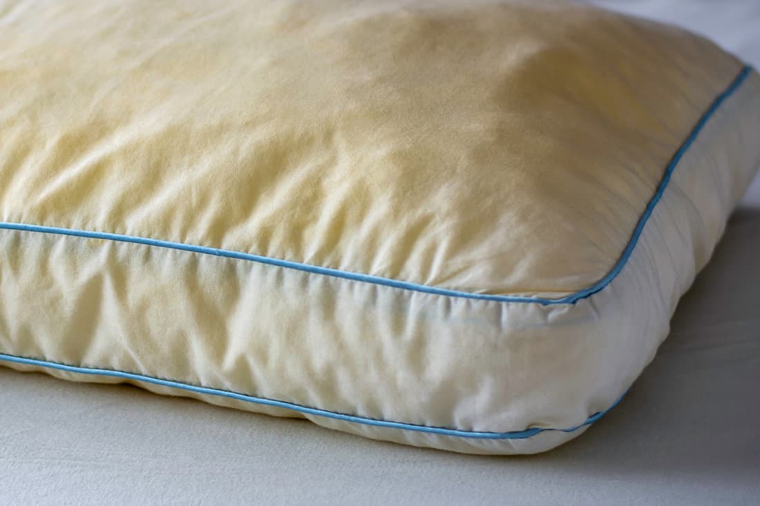 Old dirty used yellow sweat stained sleep pillow on a mattress