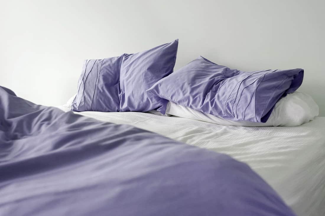 Purple bed with two purple pillows