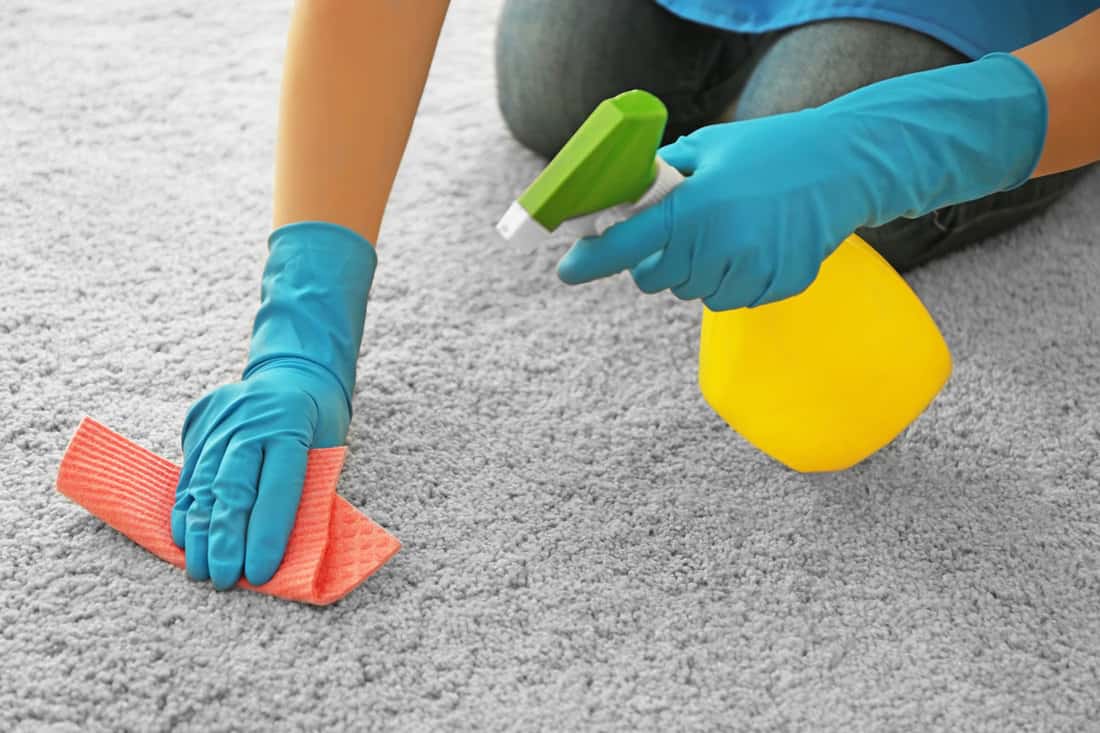 woman cleaning carpet detergent napkin closeup