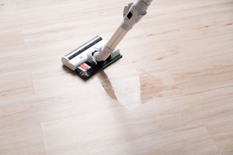 Modern vacuum cordless vacuum cleaner with water nozzle for cleaning floors, How To Empty A Shark VACMOP [Step-By-Step Guide]