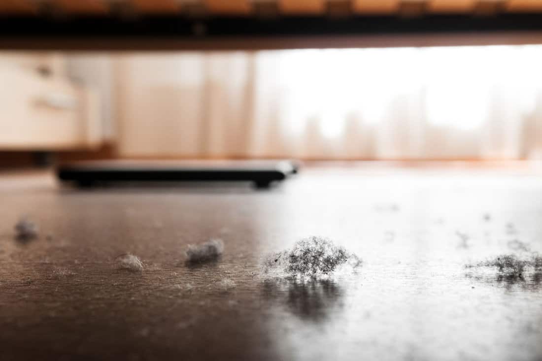 dust and dirt heap accumulated on a parquet floor under a bed