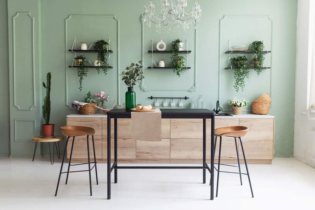 scandinavian classic kitchen wooden decor green