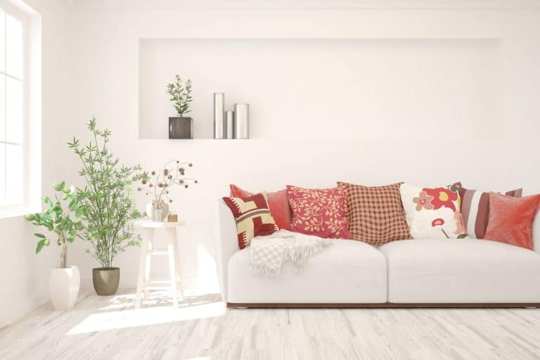 stylish room white color sofa scandinavian, What Trim Color Goes With White Dove Walls?