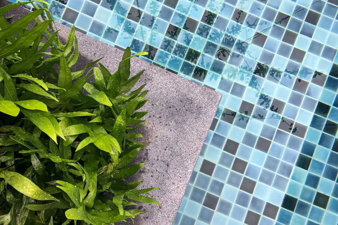 top view of a swimming pool