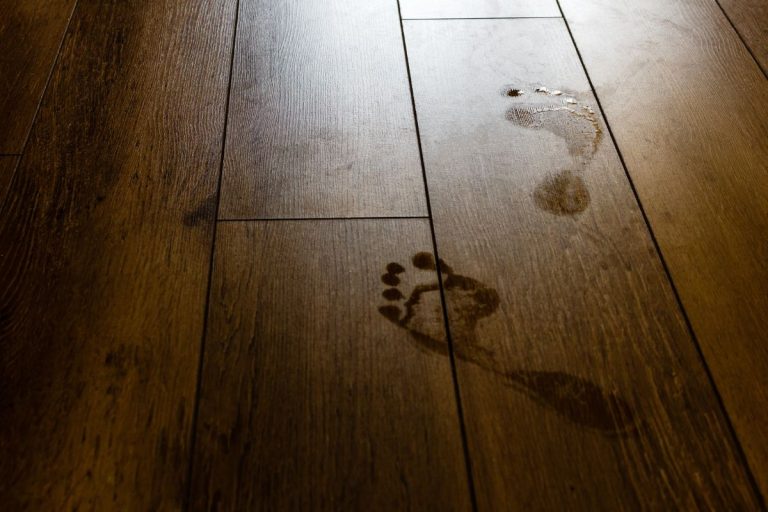 Wet people footprints on dark brown wooden floor and glare from the lightning. Summer holidays and vacations concept. - How To Keep Footprints Off Tile Floors