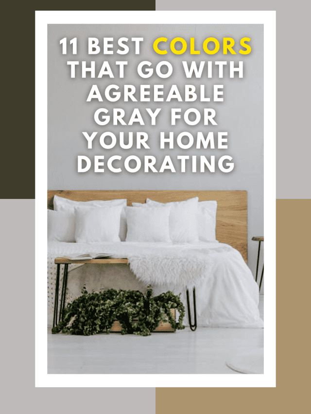11 Best Colors That Go With Agreeable Gray For Your Home Decorating
