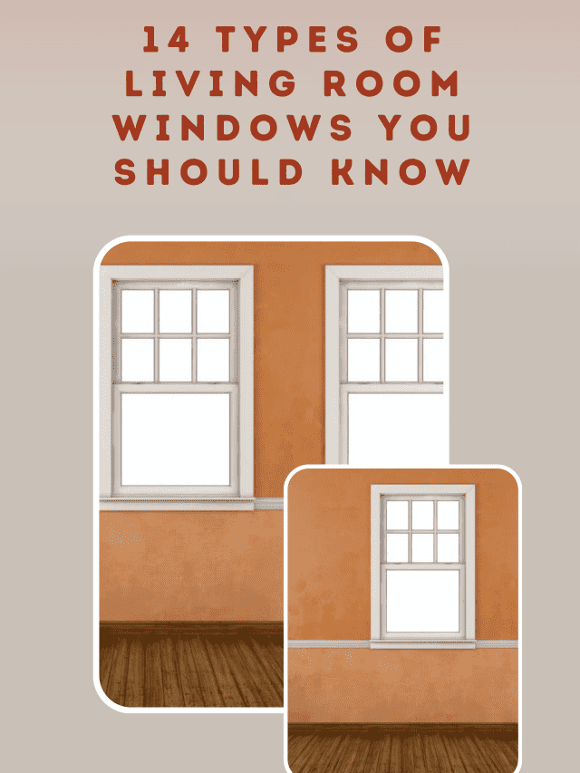 14 Types Of Living Room Windows You Should Know