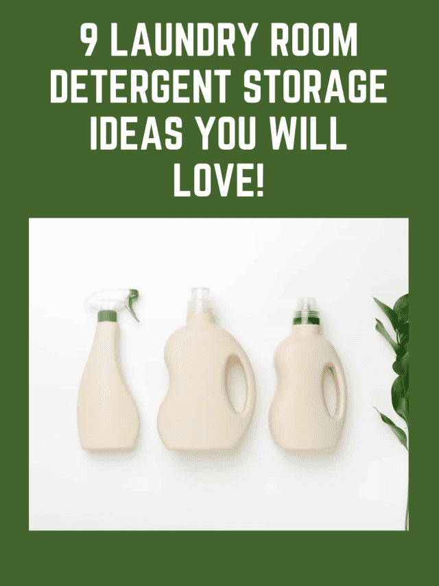 9 Laundry Room Detergent Storage Ideas You Will Love!