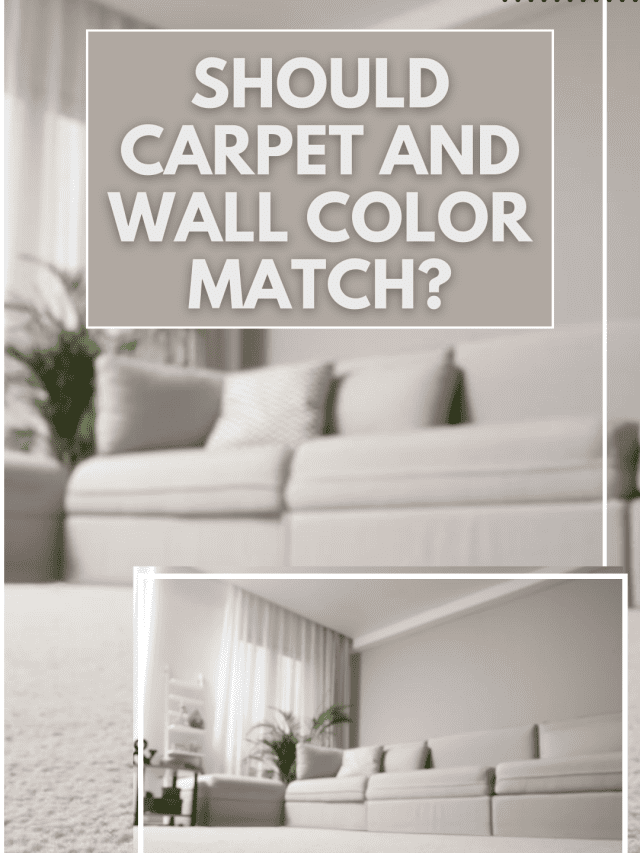 Should Carpet And Wall Color Match (1).png