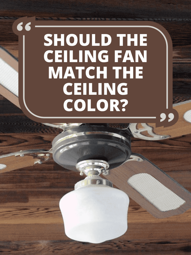 Should the Ceiling Fan Match the Ceiling Color?