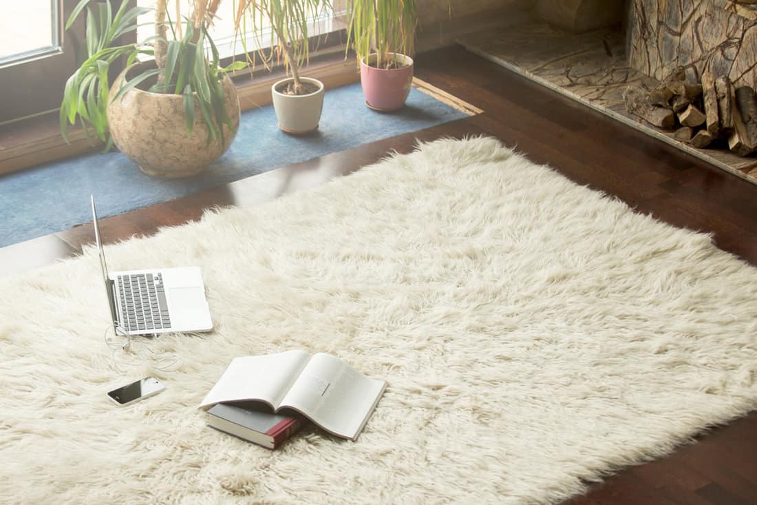 A fur carpet with laptops and study materials laid out on the carpetA fur carpet with laptops and study materials laid out on the carpet