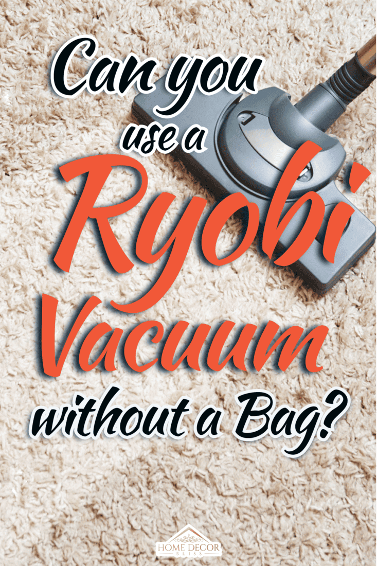Can-You-Use-A-Ryobi-Vacuum-Without-A-Bag3