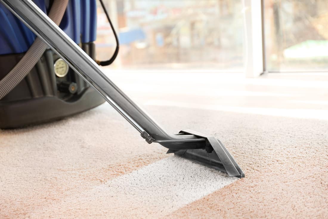 Cleaning service concept. Steam vapor cleaner removing dirt from carpet in flat
