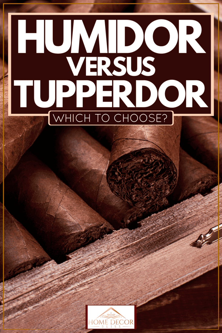 Rolls of high grade expensive cigars inside a box, Humidor Vs. Tupperdor: Which To Choose?