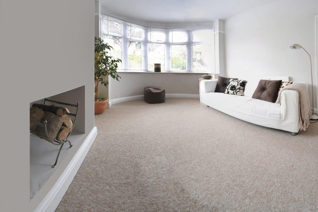 Living room with brown carpet with white painted walls and other furnitures