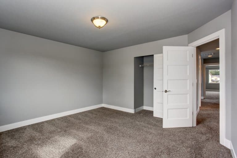 Small basement room interior with grey walls and white trim, What Color Trim Goes With Repose Gray Walls?