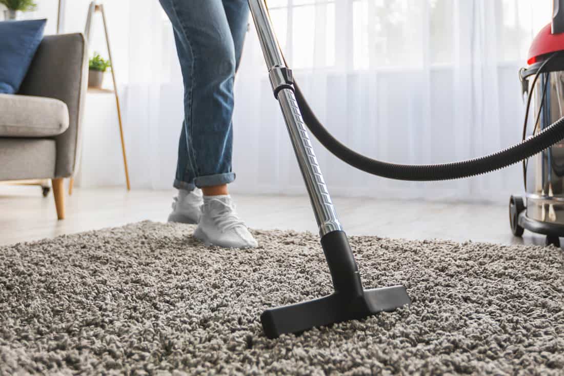 vacuum cleaning carpet in living room