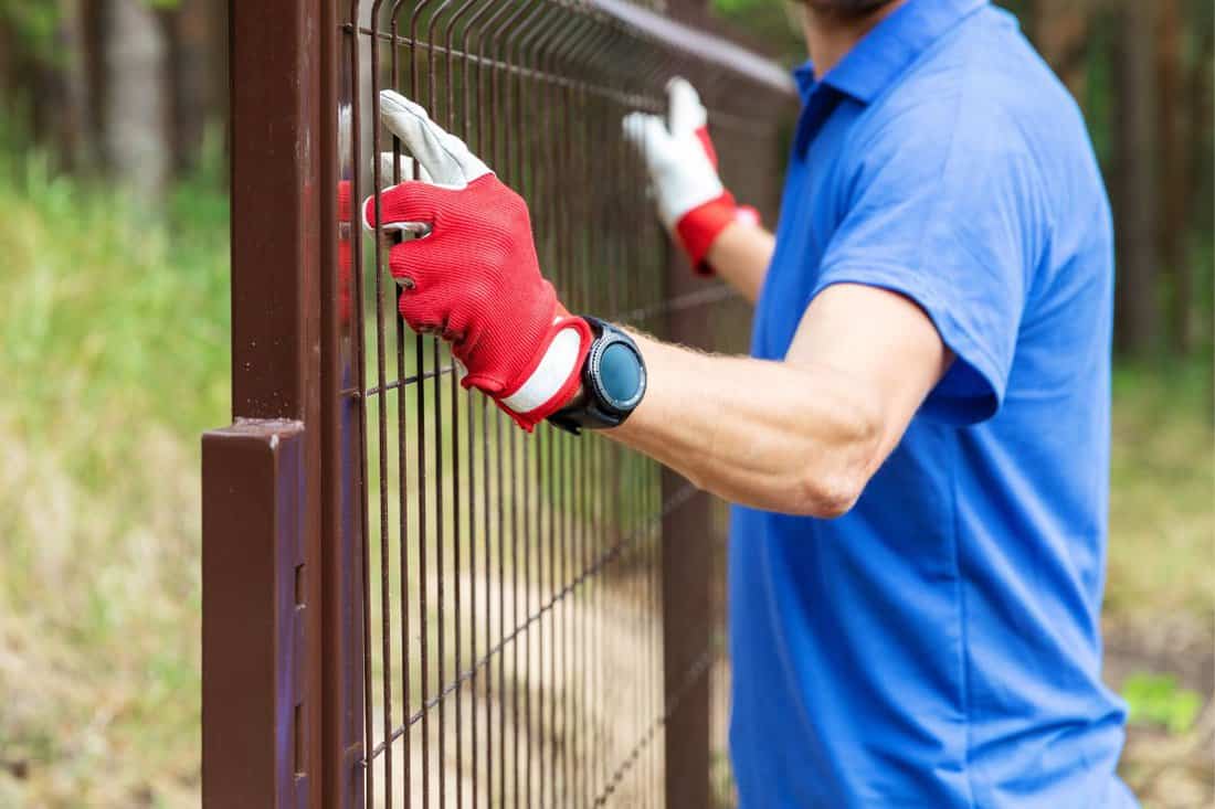 worker installing welded metal mesh fence. 