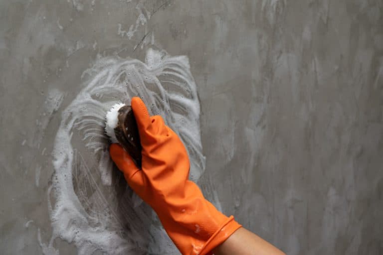 Woman's hand wearing orange rubber gloves is used to convert scrub cleaning on the concrete wall.